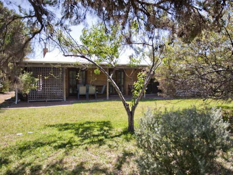 Tea Tree - Accommodation Sunshine Coast 1