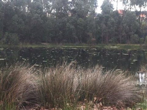 Telperon (2 Rooms, 3-4 Guests) - Accommodation Sunshine Coast 2