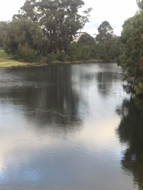 Telperon (2 Rooms, 3-4 Guests) - Accommodation Sunshine Coast 3
