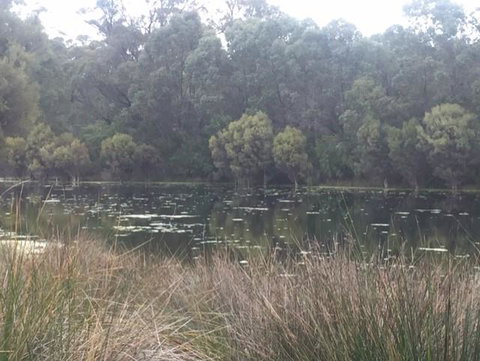 Telperon (2 Rooms, 3-4 Guests) - Accommodation Sunshine Coast 1