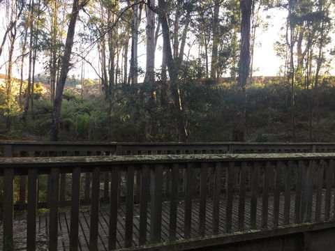 Harlea - Accommodation Sunshine Coast 13