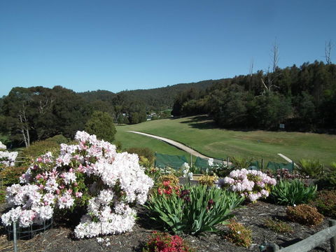Harlea - Accommodation Sunshine Coast 16