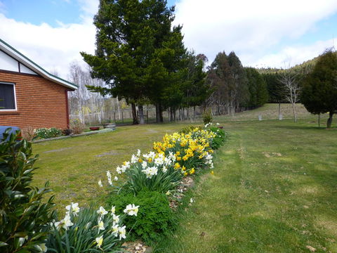 Quamby Pines Chalet - Accommodation Sunshine Coast 19