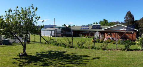 Quamby Pines Chalet - Accommodation Sunshine Coast 1