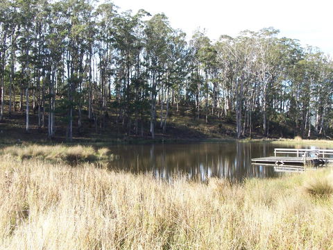 Quamby Pines Chalet - Accommodation Sunshine Coast 14