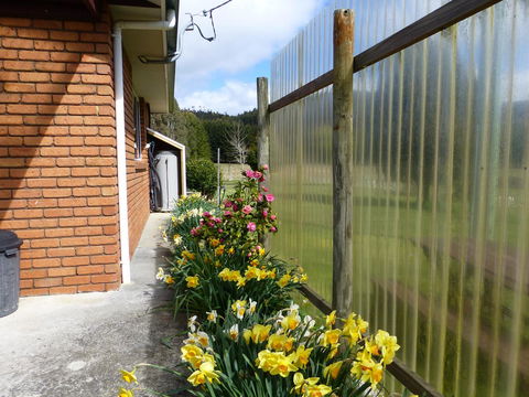 Quamby Pines Chalet - Accommodation Sunshine Coast 20