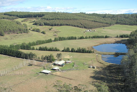 Quamby Pines Chalet - Accommodation Sunshine Coast 7