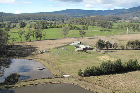 Quamby Pines Chalet - Accommodation Sunshine Coast 9