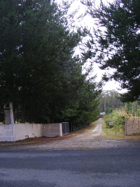 Quamby Pines Chalet - Accommodation Sunshine Coast 2