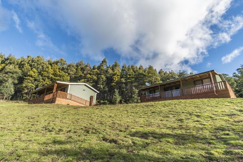 Derby Forest Cabins - Accommodation Sunshine Coast 22