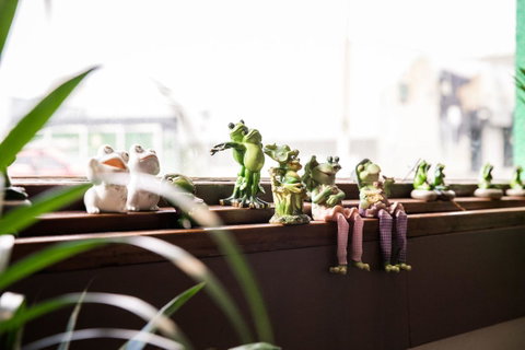 The Pickled Frog - Accommodation Sunshine Coast 12
