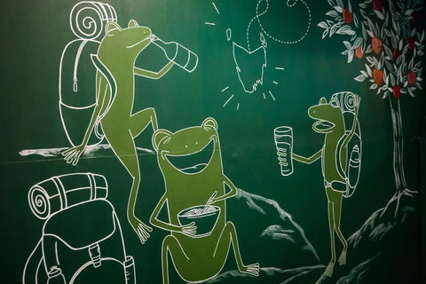 The Pickled Frog - Accommodation Sunshine Coast 20