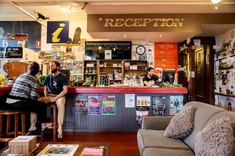 The Pickled Frog - Accommodation Sunshine Coast 0