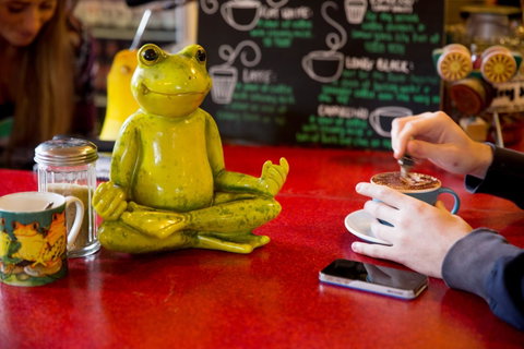 The Pickled Frog - Accommodation Sunshine Coast 30