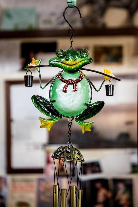 The Pickled Frog - Accommodation Sunshine Coast 35
