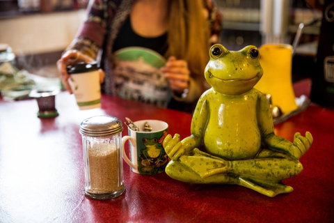 The Pickled Frog - Accommodation Sunshine Coast 32