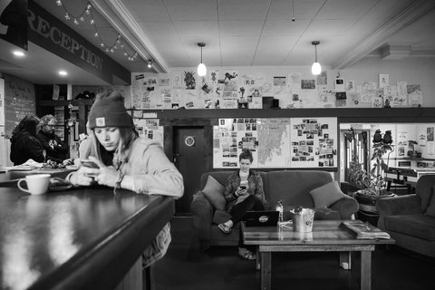The Pickled Frog - Accommodation Sunshine Coast 25