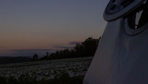 Domescapes In The Vines - Accommodation Sunshine Coast 4