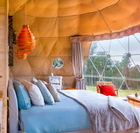 Domescapes in the Vines - Accommodation Sunshine Coast