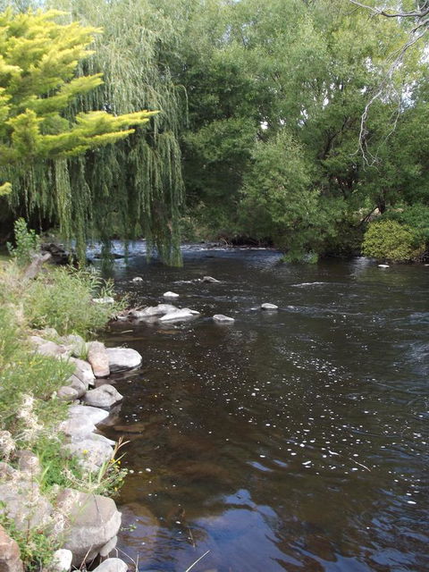 Blue Wren Riverside Cottage - Accommodation Sunshine Coast 7