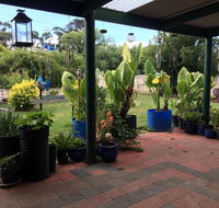 Blue Wren Bungalow - Accommodation Sunshine Coast