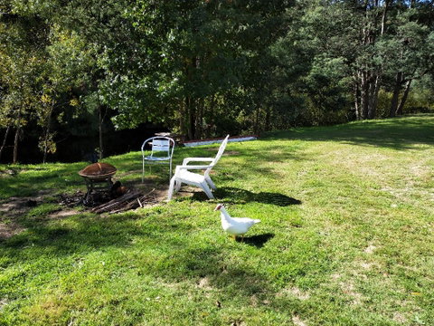 Wanderlust Cottage - Accommodation Sunshine Coast 18