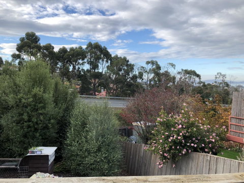 Little Mountain Town - Accommodation Sunshine Coast 4