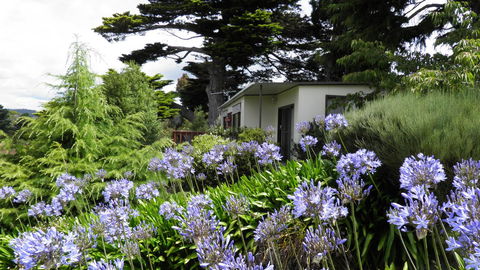 Tamar River Retreat - Accommodation Sunshine Coast 28