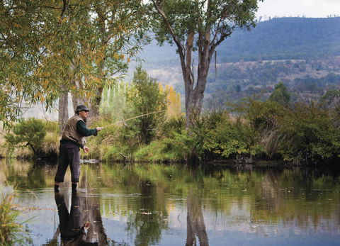Platypus Playground Riverside Cottage - Accommodation Sunshine Coast 26