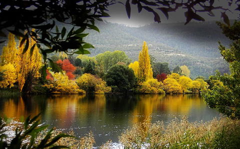 Platypus Playground Riverside Cottage - Accommodation Sunshine Coast 15