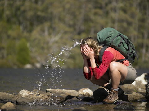 Platypus Playground Riverside Cottage - Accommodation Sunshine Coast 19