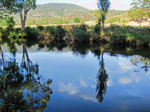 Platypus Playground Riverside Cottage - Accommodation Sunshine Coast 24