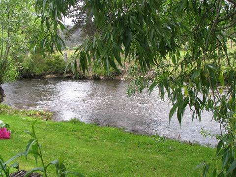 Platypus Playground Riverside Cottage - Accommodation Sunshine Coast 13