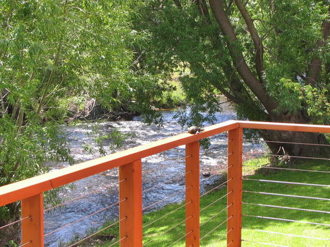 Platypus Playground Riverside Cottage - Accommodation Sunshine Coast 11