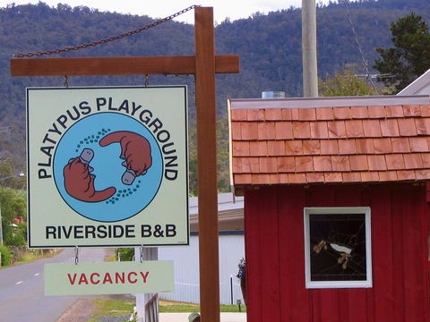 Platypus Playground Riverside Cottage - Accommodation Sunshine Coast 21