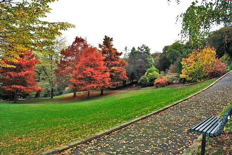 Apartment No 1 - Accommodation Sunshine Coast 32