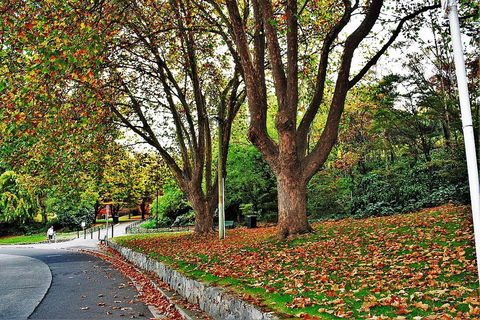 Apartment No 1 - Accommodation Sunshine Coast 34