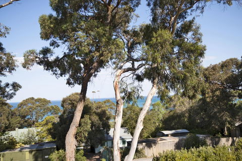 Lorne Surf Apartments - Accommodation Sunshine Coast 6