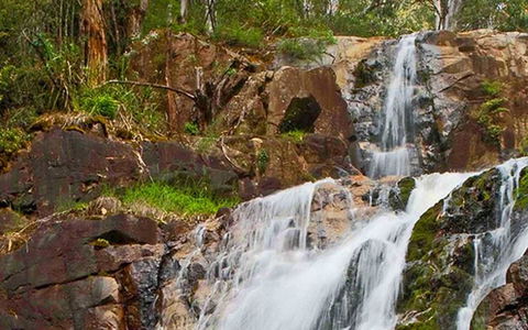Marysville Caravan And Holiday Park - Accommodation Sunshine Coast 37