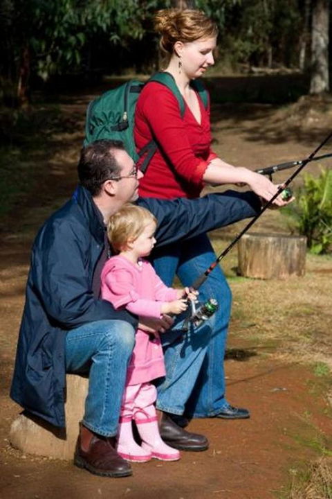Marysville Caravan And Holiday Park - Accommodation Sunshine Coast 22