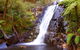 Marysville Caravan And Holiday Park - thumb 32