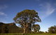 Dunkeld Studio Accommodation - thumb 23