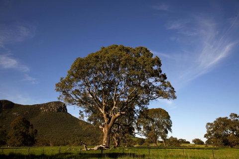 Dunkeld Studio Accommodation - Accommodation Sunshine Coast 23