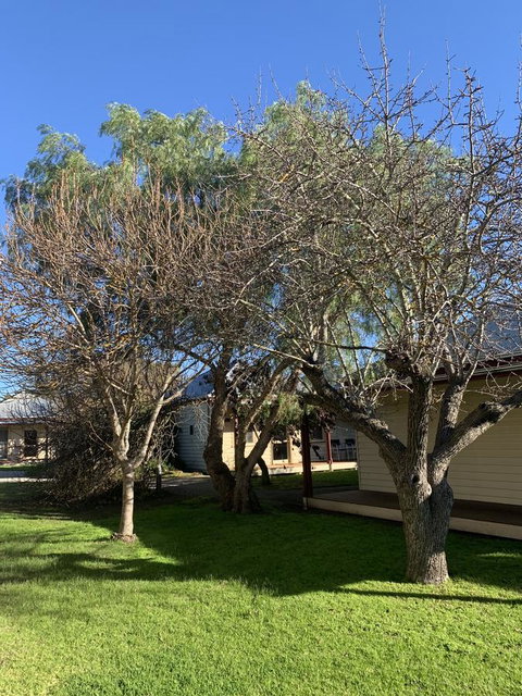 Dunkeld Studio Accommodation - Accommodation Sunshine Coast 4