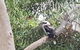 Wilsons Promontory Motel - thumb 26