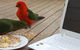 Wilsons Promontory Motel - thumb 0