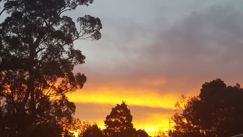 Wilsons Promontory Motel - Accommodation Sunshine Coast 25