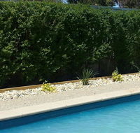 Robinvale Bridge Motel - Accommodation Sunshine Coast