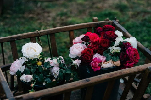 Acre Of Roses - Accommodation Sunshine Coast 21