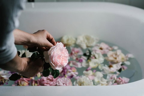 Acre Of Roses - Accommodation Sunshine Coast 7